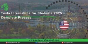 Tesla Internships